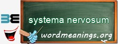 WordMeaning blackboard for systema nervosum